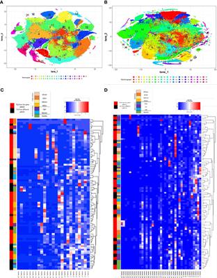 Deciphering the maturation of tertiary lymphoid structures in cancer and inflammatory diseases of the digestive tract using imaging mass cytometry